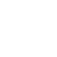 Citius Insurance